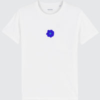 FLEUR